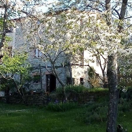La Fonte B&B Пиетралунга Екстериор снимка