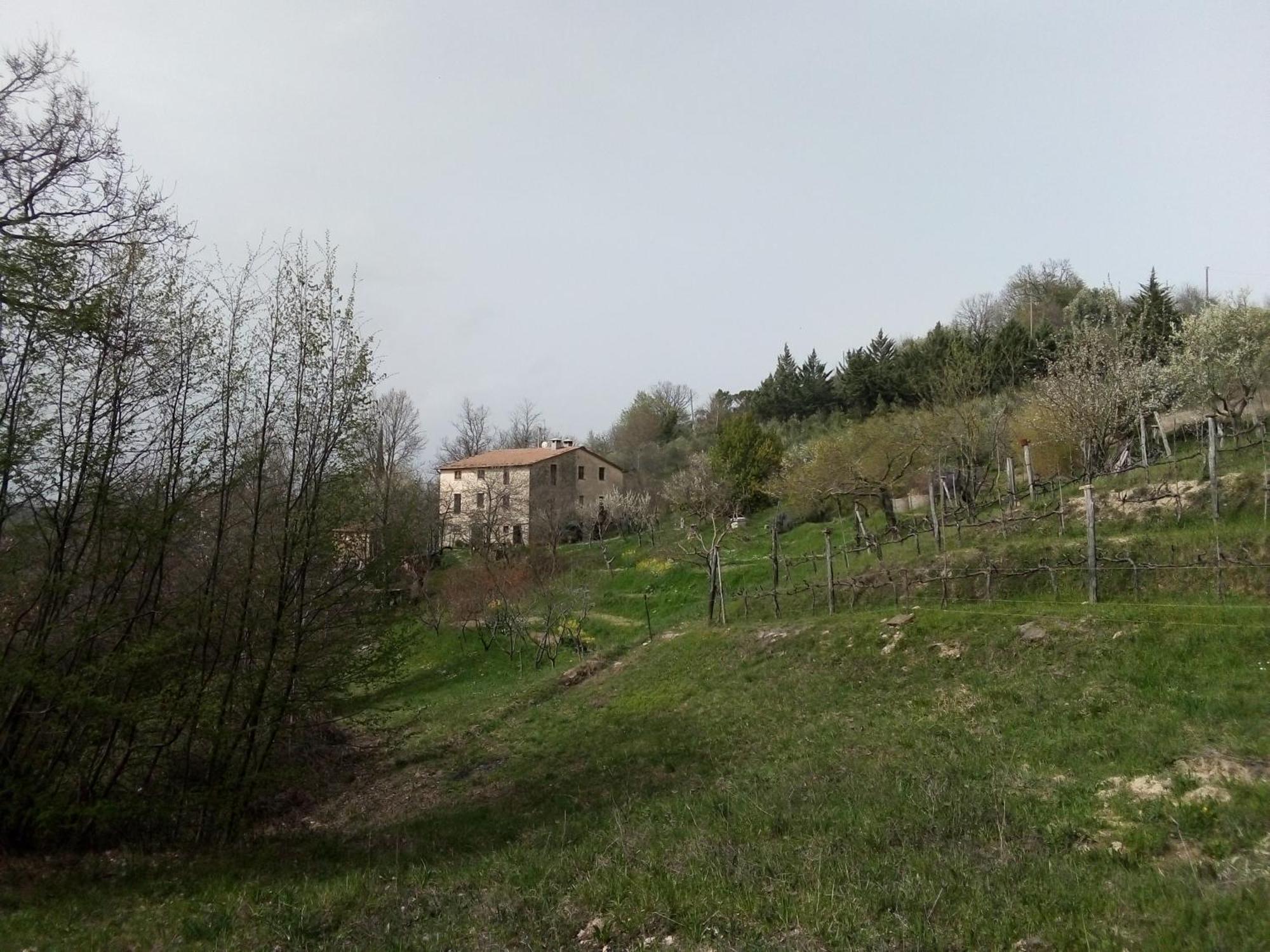 La Fonte B&B Пиетралунга Екстериор снимка