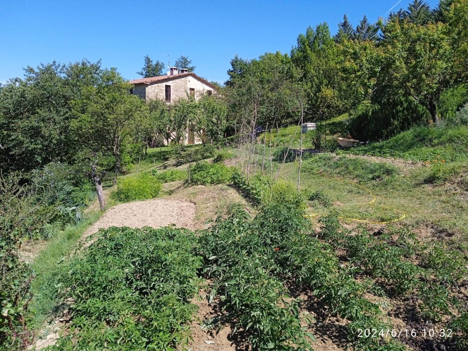 La Fonte B&B Пиетралунга Екстериор снимка