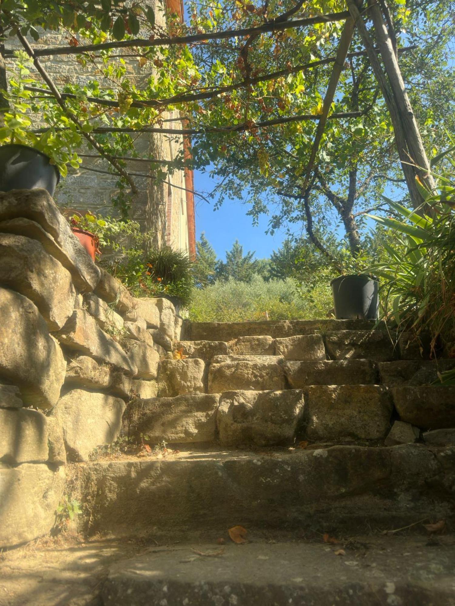 La Fonte B&B Пиетралунга Екстериор снимка
