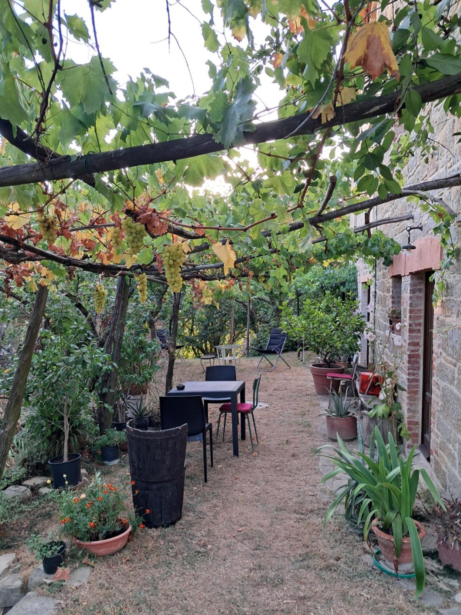 La Fonte B&B Пиетралунга Екстериор снимка